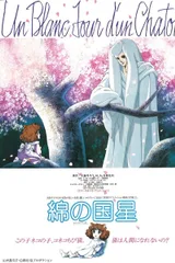 棉花国之星