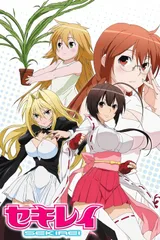 鹡鸰女神