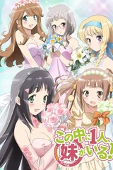 三人行必有我妹