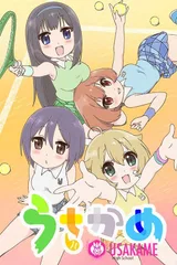 兔龟
