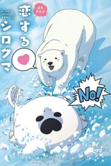 恋爱的白熊