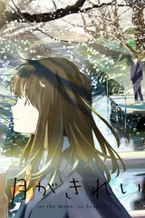 月色真美