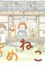 豆猫