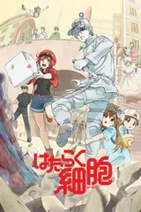工作细胞