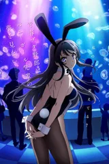 青春猪头少年不会梦到兔女郎学姐