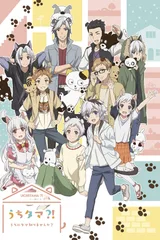 UCHITAMA?!～猫狗宠物街～
