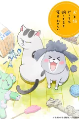 养猫养狗每天很开心