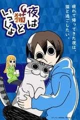 关于养猫我一直是新手