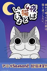 关于养猫我一直是新手 第二季