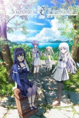 夏日口袋