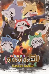 小浣熊 卡尔卡尔团