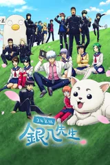 3年Z班银八老师