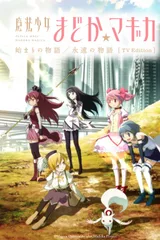 魔法少女小圆 起始的物语&永远的物语 TV剪辑版