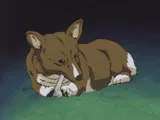 爱因