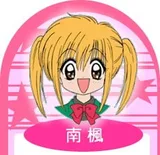 南枫