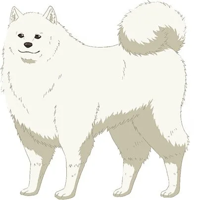 陆