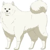 陆