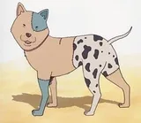 贝克