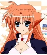 艾尔芙