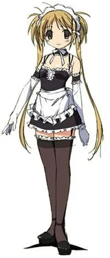 泽渡美月