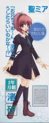 苍井渚砂