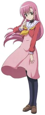 桂雏菊