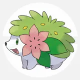洁咪
