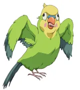 小鹦