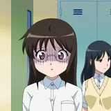 宫野茧