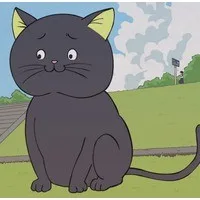 黑猫