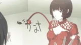 胞衣星白