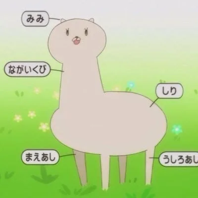 梅努斯