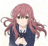 西宫硝子