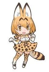 薮猫
