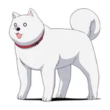 狗