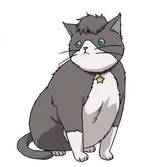 大喵