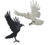 福金 & 雾尼