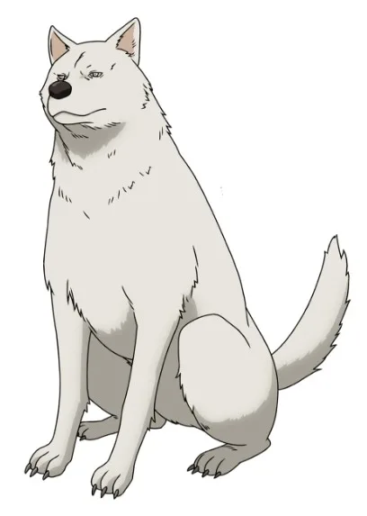 狗