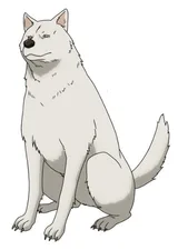 狗