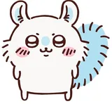 飞鼠