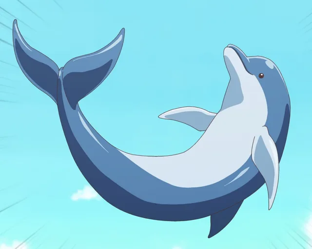 海豚