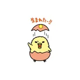 鸡动哥