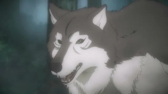 狼