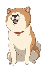 波奇桑