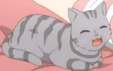 摩太
