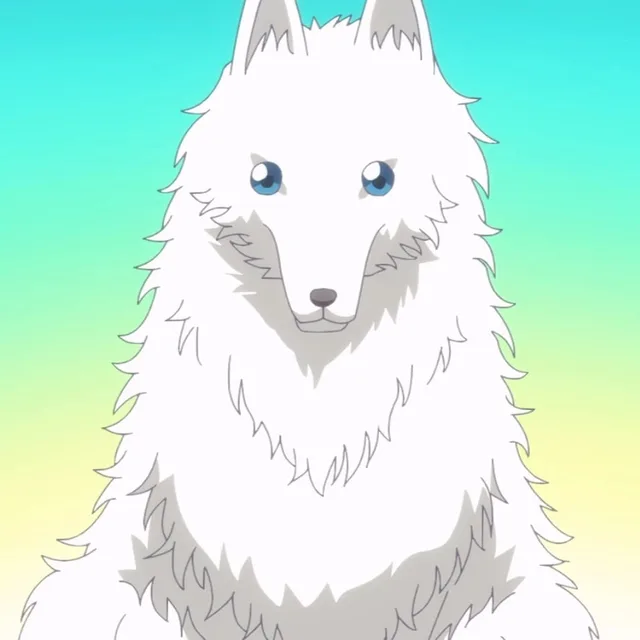 焦尔