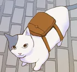 ソラ