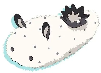 不死