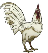 鸡志
