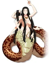 斑小姐